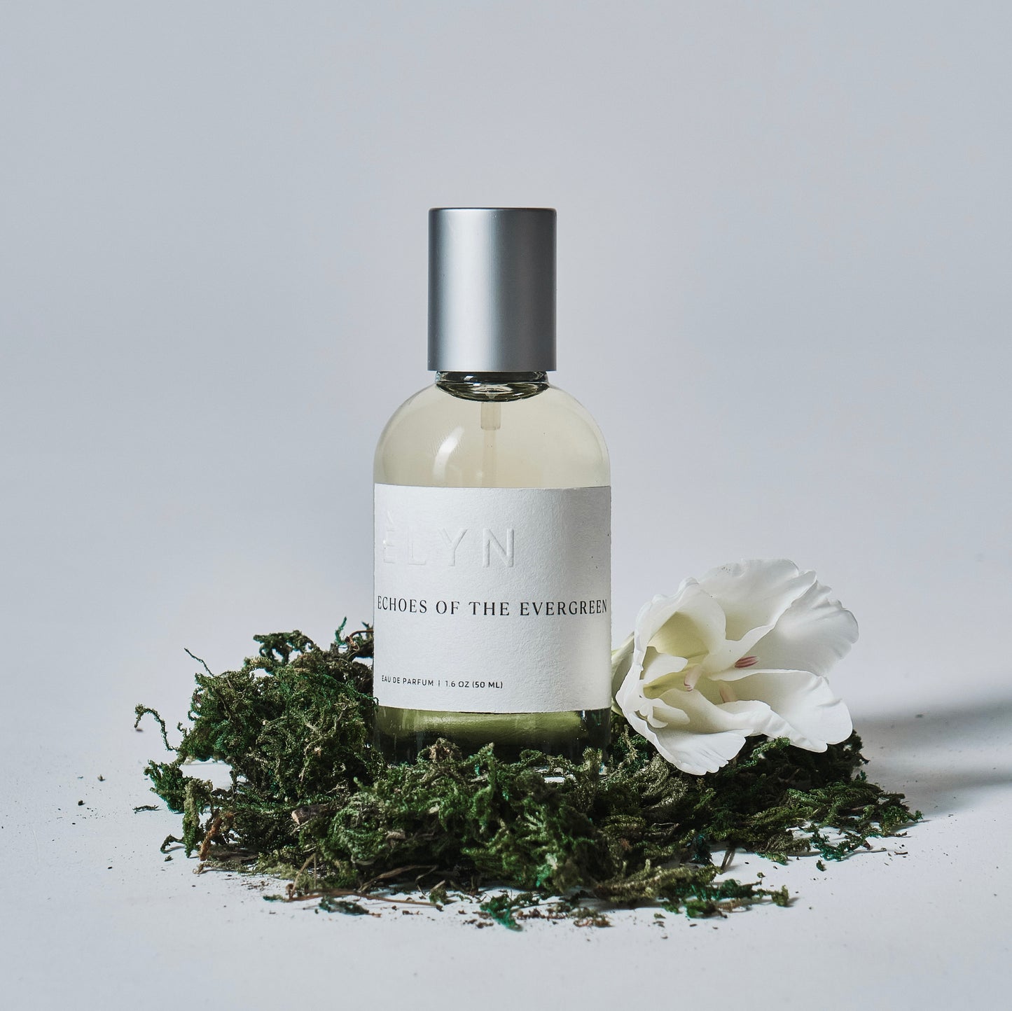 Echoes of the Evergreen